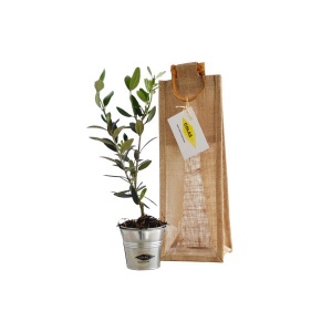 Plant d'arbre sac jute - Prestige 2