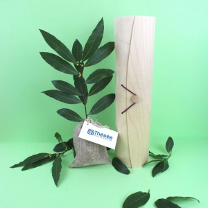 Plant d'arbre tube bois - Prestiges