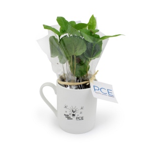 Mug en cramique avec cafier