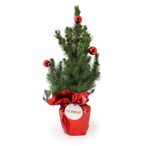 Sapin de Noël avec déco 2