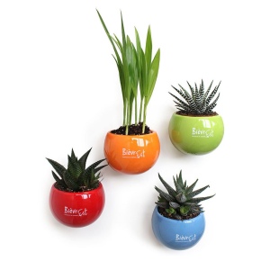 Plante pot céramique aimanté 2