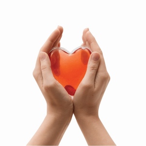 Chaufferette WARM HEARTED 4