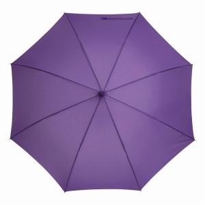 Parapluie automatique LAMBARDA 21