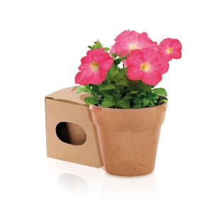 Pot de Fleurs - Advert 2