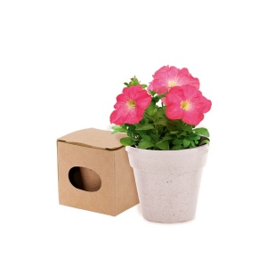 Pot de Fleurs - Advert