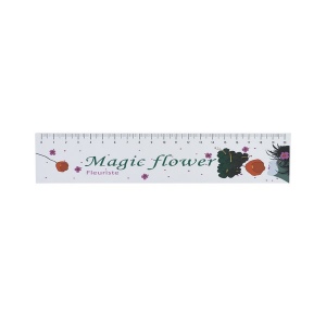 Regle indechirable 20cm fab fr (+Copie laser CL11)
