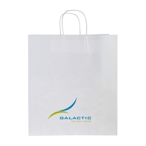 Sac kraft 19l (+Sérigraphie TB31) 4