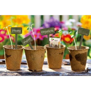Sachet papier a graines (+Copie laser CL21) 7