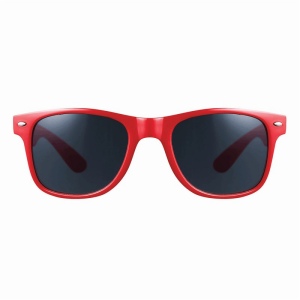 Lunettes de soleil STYLISH 22
