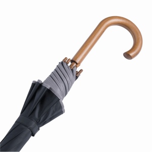 Parapluie automatique WALTZ 26
