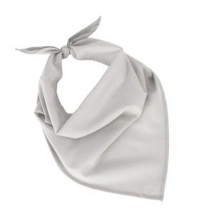 Fiesta - Bandana 19