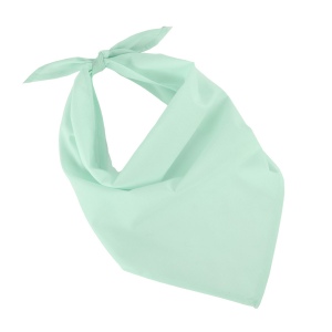 Fiesta - Bandana 18