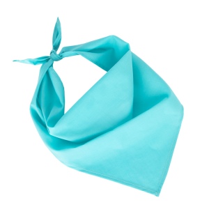 Fiesta - Bandana 17