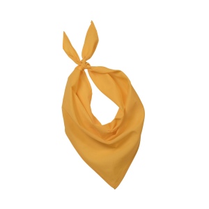 Fiesta - Bandana 9