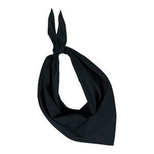 Fiesta - Bandana 2