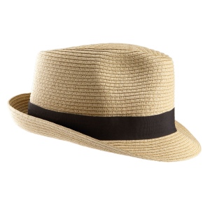 Chapeau Panama 2