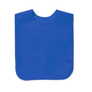 Chasuble - Cambex 2