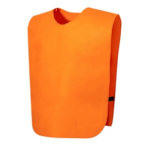 Chasuble - Cambex