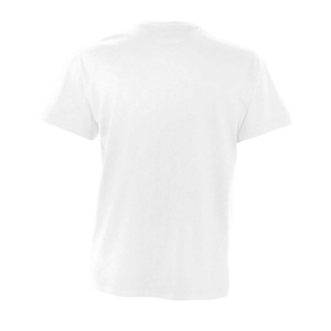 Tee-shirt homme col ‘’v’’ - VICTORY 79