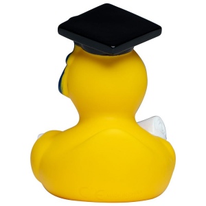 Canard MBW 3