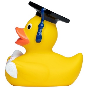 Canard MBW 4