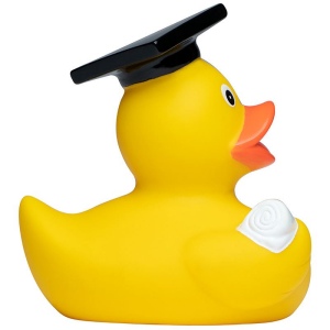 Canard MBW 5