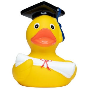 Canard MBW 2