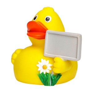 Canard voyage MBW 4