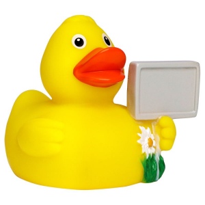 Canard voyage MBW 5