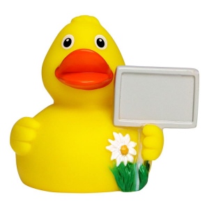 Canard voyage MBW