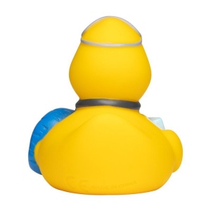 Canard voyage MBW 3