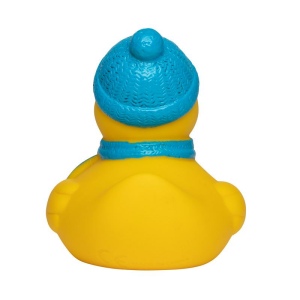 Canard hiver MBW 3