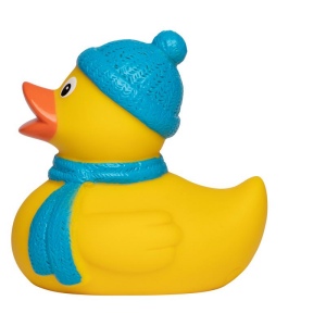 Canard hiver MBW 4