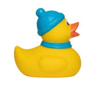 Canard hiver MBW 5