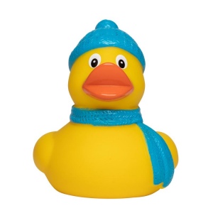 Canard hiver MBW