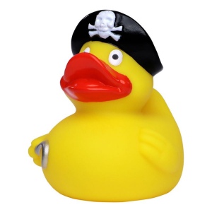 Canard voyage MBW 4