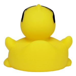 Canard voyage MBW 3