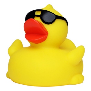 Canard voyage MBW 4