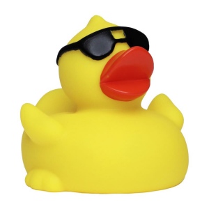 Canard voyage MBW 5