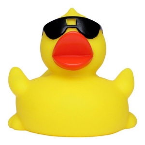 Canard voyage MBW