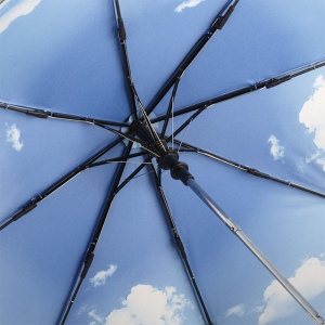 Parapluie de poche FARE 8
