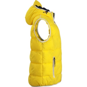 Bodywarmer matelassé Homme Daiber 16
