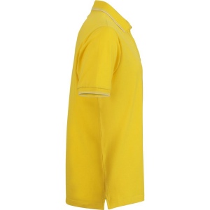 Polo fashion stretch Homme Daiber 15