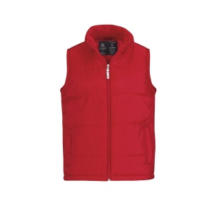 Bodywarmer pour homme 2