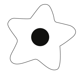 Chaufferette WARM STAR 5