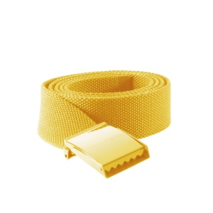 Ceinture en polyester 10