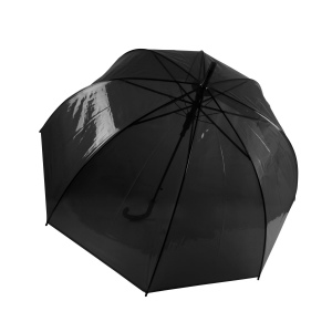 Parapluie transparent 2