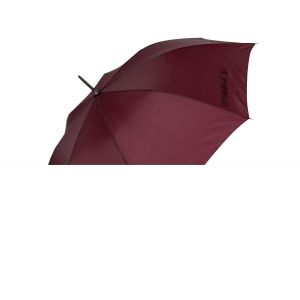 Parapluie de golf 17