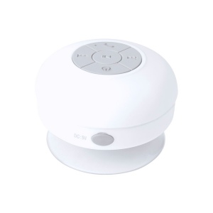 Haut-Parleur - Rariax 4