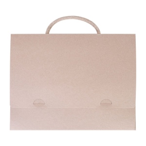 Valisette carton recycle fr (+Quadri numérique QV31) 5
